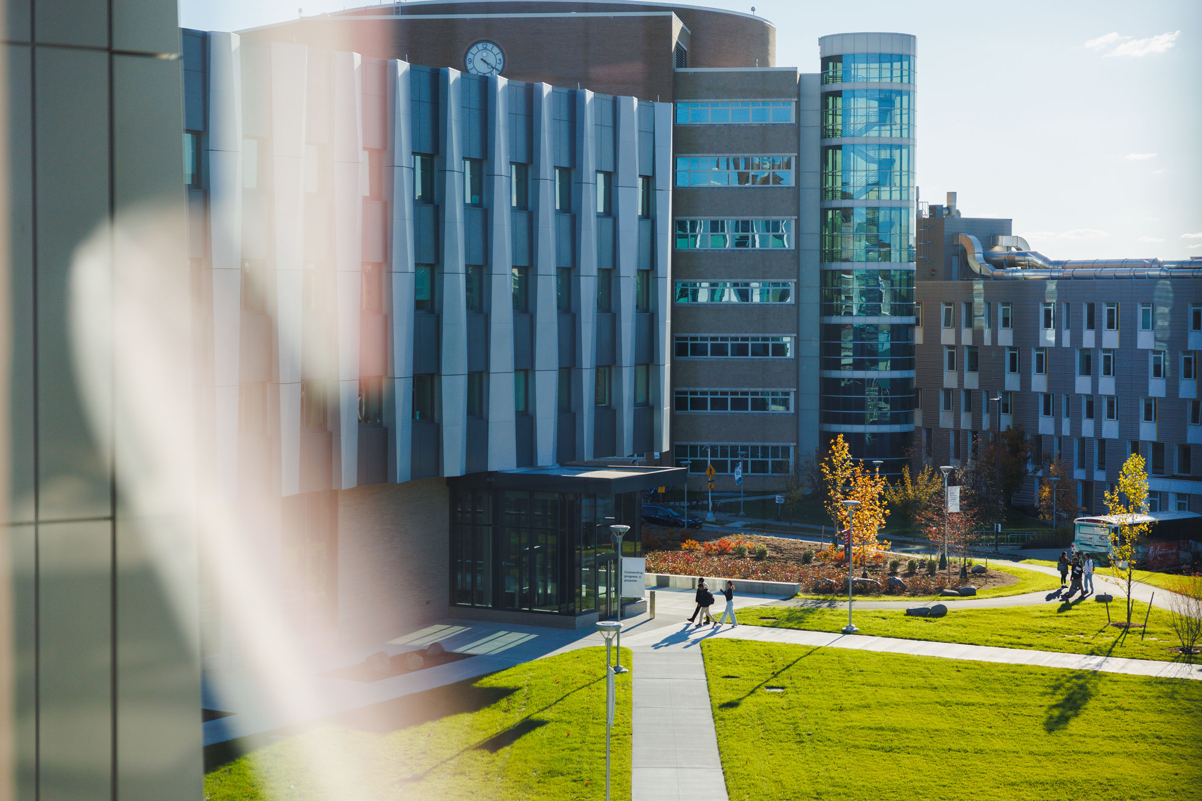 green grass on courtyard and silver panels of building reflect on window