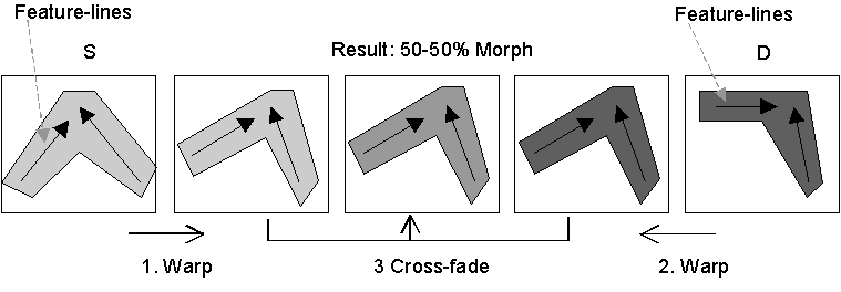 The morphing process