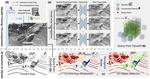 Hindsight is 20/20: Leveraging Past Traversals to Aid 3D Perception