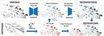 Unsupervised Adaptation from Repeated Traversals for Autonomous Driving