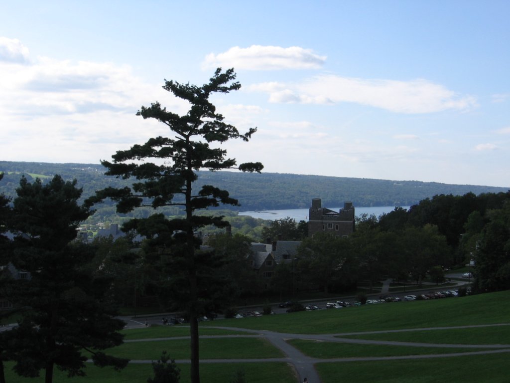 viewtocayugalake.jpg